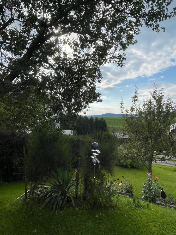 Maly'S Ferienwohnung Sulzberg  Dış mekan fotoğraf
