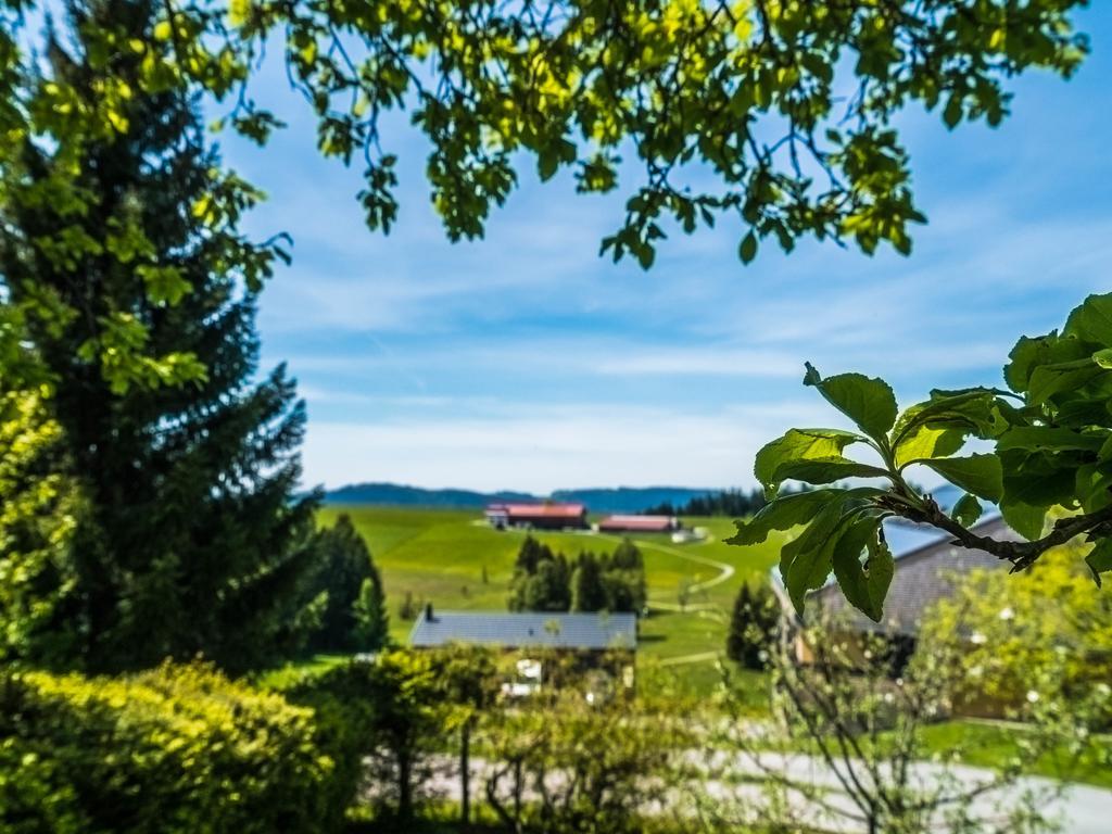 Maly'S Ferienwohnung Sulzberg  Dış mekan fotoğraf